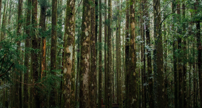 蘇州建技,JAGPACK